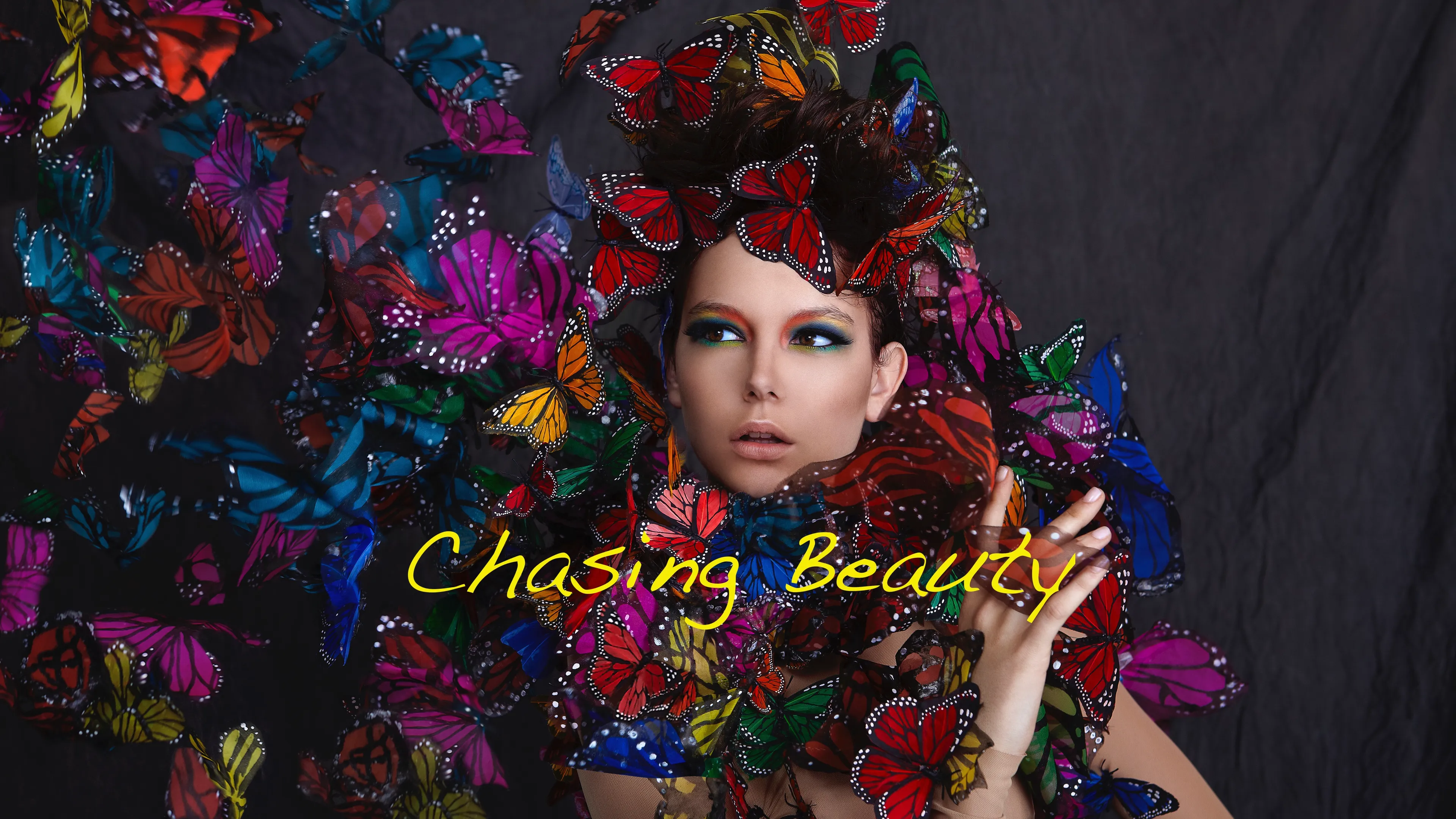 Chasing Beauty poster